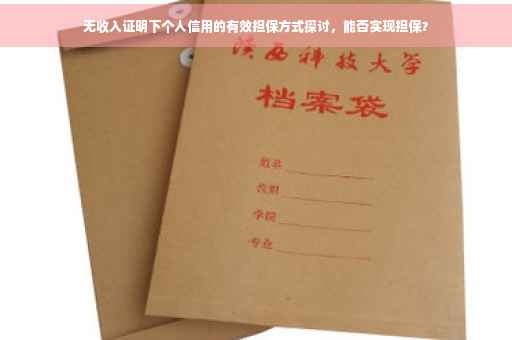 无收入证明下个人信用的有效担保方式探讨，能否实现担保？