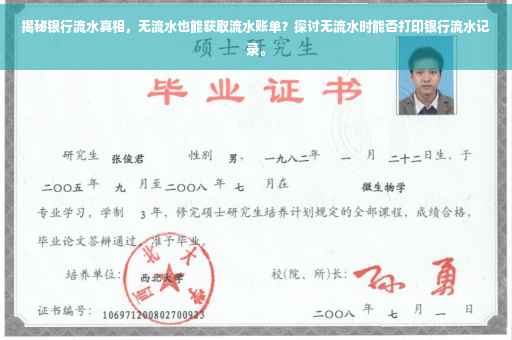 揭秘银行流水真相，无流水也能获取流水账单？探讨无流水时能否打印银行流水记录。