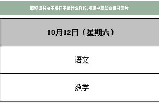 职称证书电子版样子是什么样的,福建中职毕业证书图片
