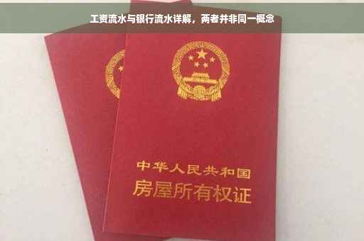 工资流水与银行流水详解，两者并非同一概念