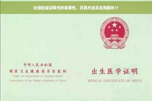 社保权益证明书的重要性、开具方法及应用解析??