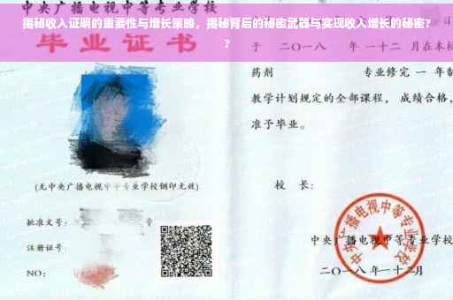 揭秘收入证明的重要性与增长策略，揭秘背后的秘密武器与实现收入增长的秘密??