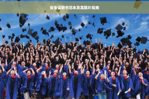 安全证明书范本及其图片指南