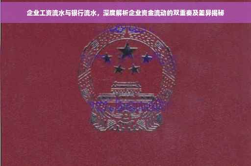 企业工资流水与银行流水，深度解析企业资金流动的双重奏及差异揭秘