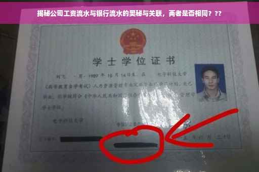 揭秘公司工资流水与银行流水的奥秘与关联，两者是否相同？??