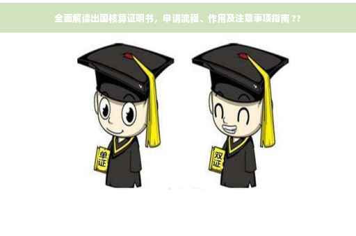 全面解读出国核算证明书，申请流程、作用及注意事项指南 ??