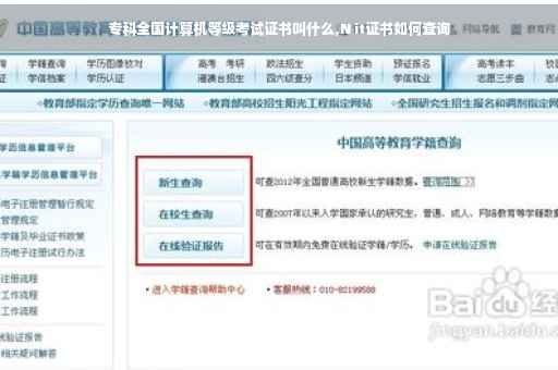 专科全国计算机等级考试证书叫什么,N it证书如何查询
