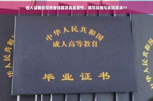 收入证明担保模板详解及其重要性，撰写指南与关键要点??