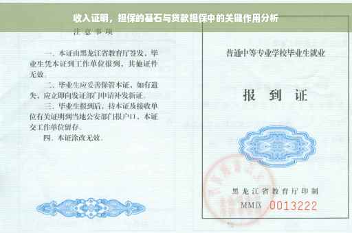 收入证明，担保的基石与贷款担保中的关键作用分析