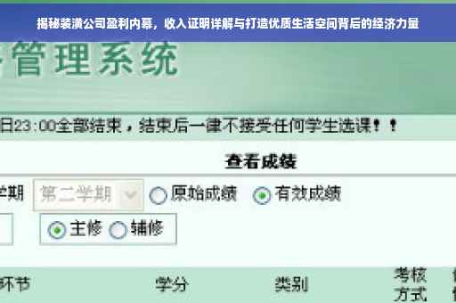 揭秘装潢公司盈利内幕，收入证明详解与打造优质生活空间背后的经济力量