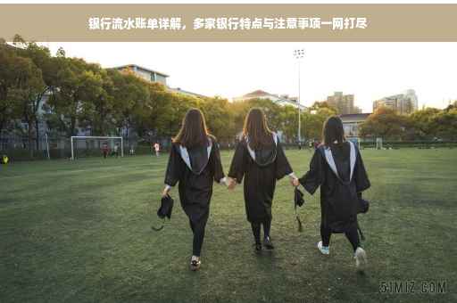银行流水账单详解，多家银行特点与注意事项一网打尽