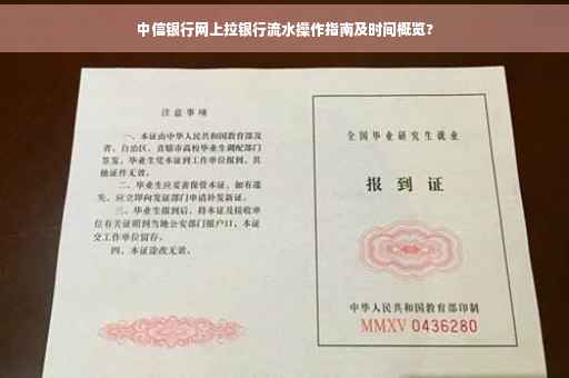 中信银行网上拉银行流水操作指南及时间概览?