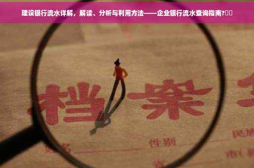 建设银行流水详解，解读、分析与利用方法——企业银行流水查询指南?⚡️