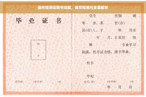 委托检测证明书详解，撰写指南与全面解析