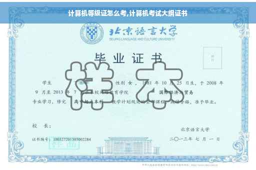 计算机等级证怎么考,计算机考试大纲证书
