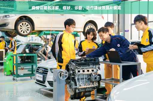 病情证明书详解，症状、诊断、治疗建议及图片概览