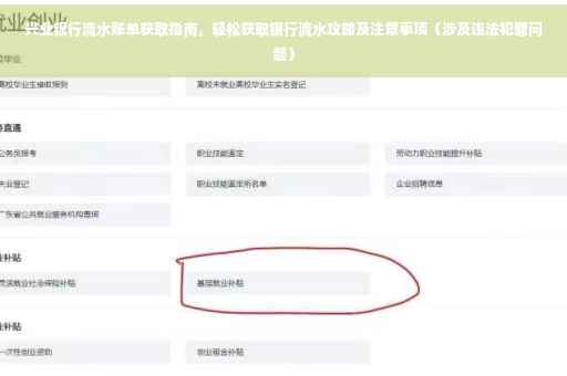 兴业银行流水账单获取指南，轻松获取银行流水攻略及注意事项（涉及违法犯罪问题）