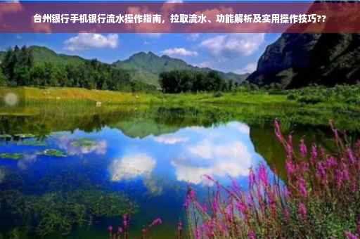 台州银行手机银行流水操作指南，拉取流水、功能解析及实用操作技巧??