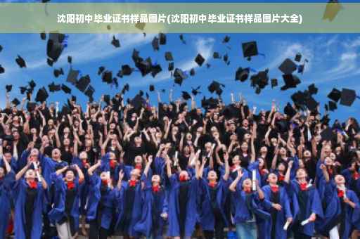 沈阳初中毕业证书样品图片(沈阳初中毕业证书样品图片大全)