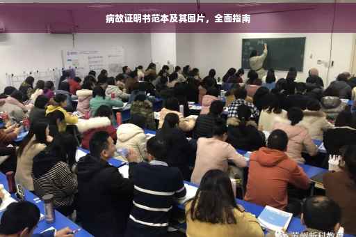 病故证明书范本及其图片，全面指南