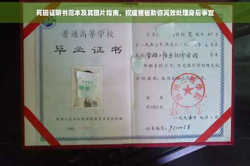死因证明书范本及其图片指南，权威模板助你高效处理身后事宜