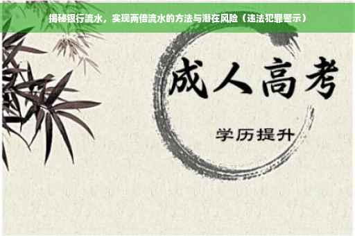 揭秘银行流水，实现两倍流水的方法与潜在风险（违法犯罪警示）