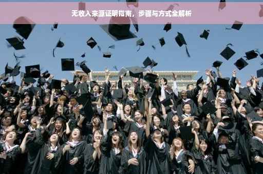 无收入来源证明指南，步骤与方式全解析