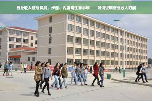 营业收入证明详解，步骤、内容与注意事项——如何证明营业收入归属