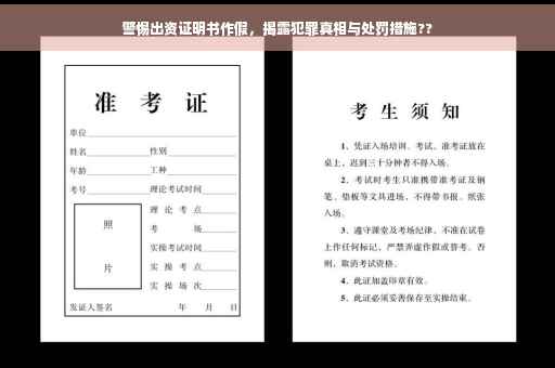 警惕出资证明书作假，揭露犯罪真相与处罚措施??