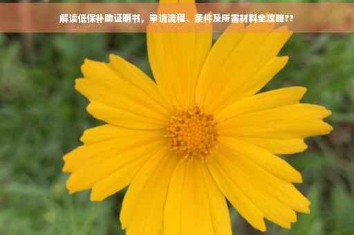 解读低保补助证明书，申请流程、条件及所需材料全攻略??