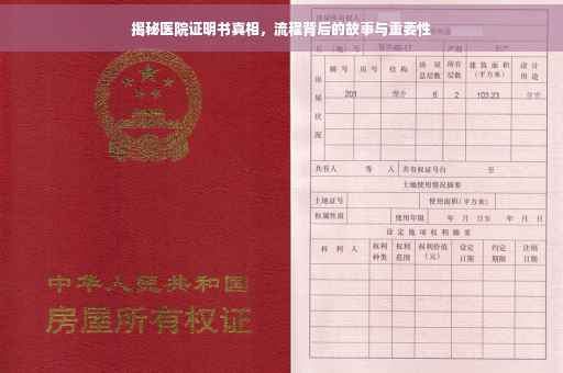 揭秘医院证明书真相，流程背后的故事与重要性