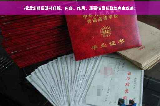 招远诊断证明书详解，内容、作用、重要性及获取地点全攻略！