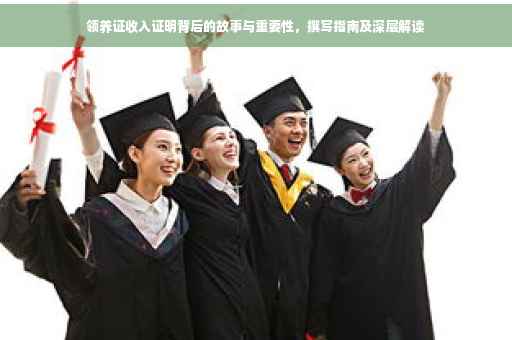 领养证收入证明背后的故事与重要性，撰写指南及深层解读