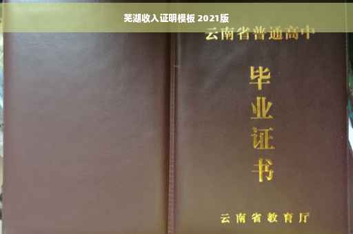 芜湖收入证明模板 2021版