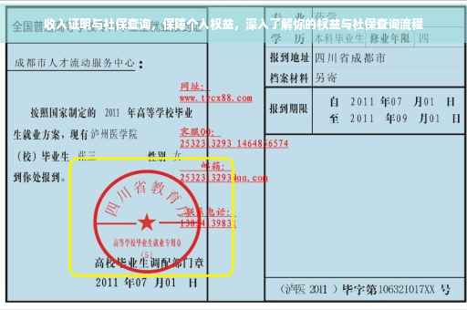 收入证明与社保查询，保障个人权益，深入了解你的权益与社保查询流程