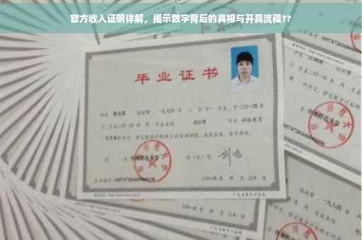 官方收入证明详解，揭示数字背后的真相与开具流程??