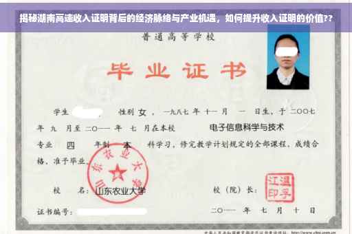 揭秘湖南高速收入证明背后的经济脉络与产业机遇，如何提升收入证明的价值??