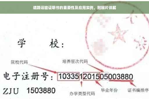 道路运输证明书的重要性及应用实例，附图片详解