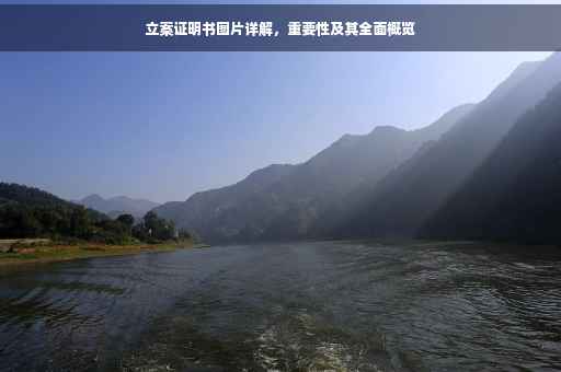 立案证明书图片详解，重要性及其全面概览