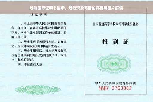 过敏医疗证明书揭示，过敏现象背后的真相与图片解读