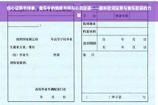 伤心证明书伴奏，音乐中的情感共鸣与心灵慰藉——解析歌词深意与音乐慰藉的力量