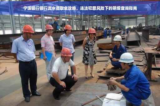 宁波银行银行流水调取全攻略，违法犯罪风险下的明细查询指南