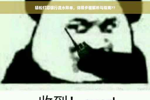 轻松打印银行流水账单，详细步骤解析与指南??