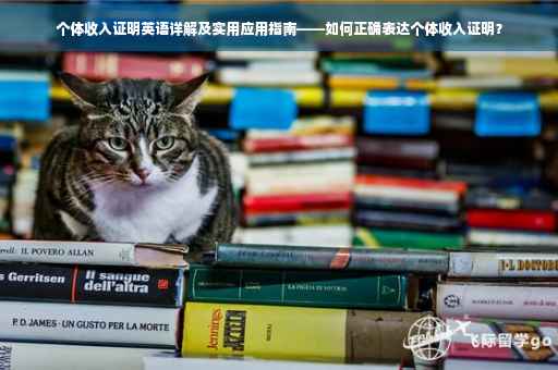 个体收入证明英语详解及实用应用指南——如何正确表达个体收入证明？