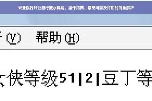 兴业银行对公银行流水详解，操作指南、常见问题及打印时间全解析