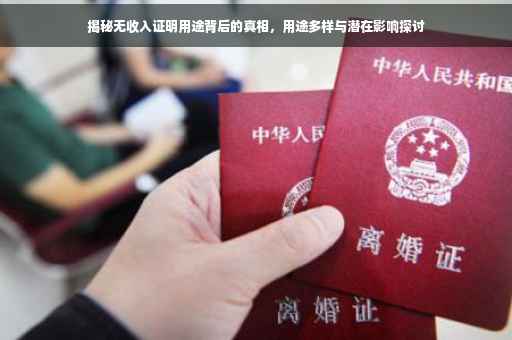 揭秘无收入证明用途背后的真相，用途多样与潜在影响探讨