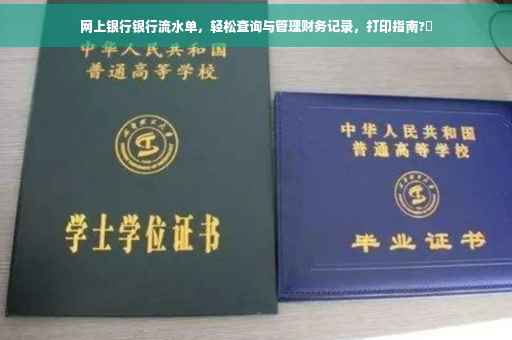 网上银行银行流水单，轻松查询与管理财务记录，打印指南?✨