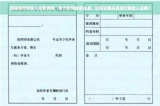 揭秘应付转收入证明真相，助力职场发展攻略，如何正确开具应付转收入证明？