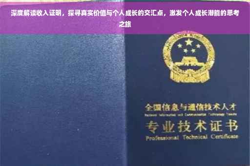 深度解读收入证明，探寻真实价值与个人成长的交汇点，激发个人成长潜能的思考之旅