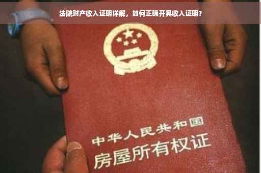 法院财产收入证明详解，如何正确开具收入证明？